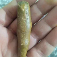 هبهاب الیمنی|بدلیجات|اهواز, گلدشت|دیوار