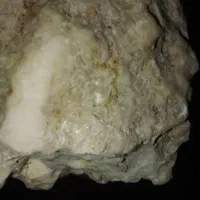 تازه پیداش کردم