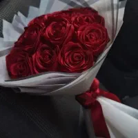 گل روبانی قیمت کمتر از هرجا