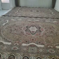 فرش|فرش|پلدختر, |دیوار