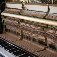 معتبرترین سازپیانوها جهان قسطیKawaiوYamaha وPetrof