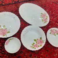 سرویس ارکوپال ۳۰ نفره