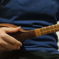 فروش سه تار