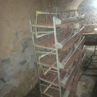 قفس|لوازم جانبی حیوانات|گناباد, |دیوار