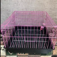 قفس حیوانات