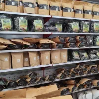 چای|خوردنی و آشامیدنی|لاهیجان, لیالستان|دیوار