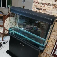 فروش اکواریم دلسا|ماهی|بومهن, |دیوار