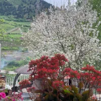 زن و شوهر برای سرایداری ویلا