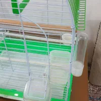 قفس نونو بدون استفاده|لوازم جانبی حیوانات|ایلام, |دیوار