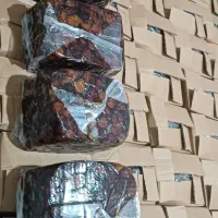 خرمای خاصویی جم