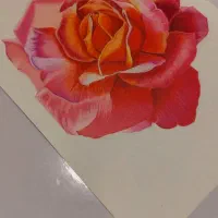 نقاشی با مدادرنگی