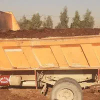 کود گوسفندی تمیز سوخته