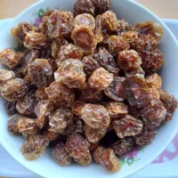 آلوچه خشک خانگی