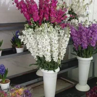 انواع گل های طبیعی شاخه بریده