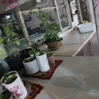 دو تا آینه|آینه|نیشابور, شهرک قدس|دیوار