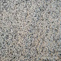 لوبیا چشم بلبلی لوبیا ریز پلویی|خوردنی و آشامیدنی|داراب, |دیوار