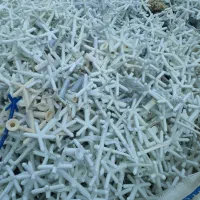 خریدار پالت پ پ pp ای بی اس نوبارشرکتی