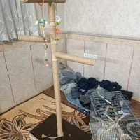 یدونه قفس با نشیمن گاه پرنده