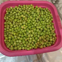 نخود فرنگی تازه هست امشب تمیز کردم