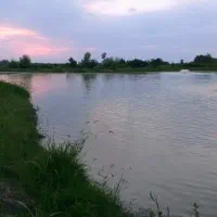 اجاره-یک-هکتار-استخر-پرورش-ماهی