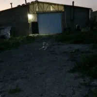 سوله در کمی اباد