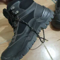 کفش کار