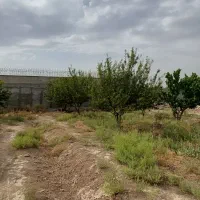 زمین 850 متری سندتک برگ/شهریار/دهشاد/باغستان|فروش خانه و ویلا|شهریار, دهشاد بالا|دیوار