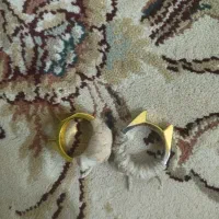 انگشتر رنگ طلای