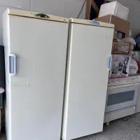 یخچال فریزر دو قلو پارس