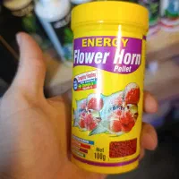 غذای تخصصی ماهی فلاور|ماهی|رشت, پل تالشان|دیوار