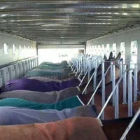 اسبکش های ۲ و ۴ اسبه ایمن پادوک|اسب و تجهیزات اسب‌سواری|تهران, چیتگر جنوبی|دیوار