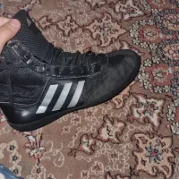 کتونی کشتی کامبت