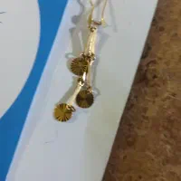 طلا گمشده یه لنگه گوشواره
