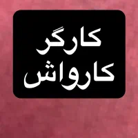 کارگر کارواش