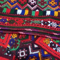 زیاستین