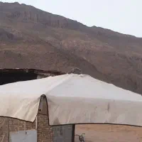 طبق میوه چرخداروبدون چرخ باچتر|فروشگاه و مغازه|الوند, |دیوار