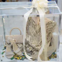 باکس شیشه ای|خدمات پذیرایی، مراسم|کرمان, |دیوار