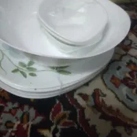 سرویس پذیرایی وغذا|ظروف سرو و پذیرایی|رانکوه, |دیوار