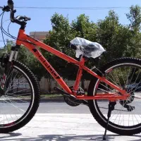 دوچرخه خوش ساخت/ رنگ با محافظ کیلر