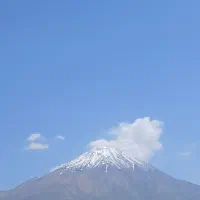 خدمات نظافتی برادران قدیمی