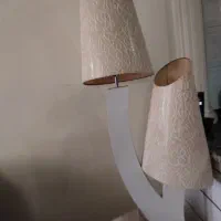 آباژور نو نو با یکی اشانتیون