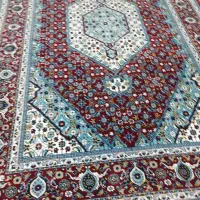 فرش شش متری تمام نخ|فرش|پارسآباد, |دیوار