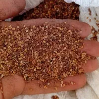 کنجدبوجاری شده یه تن ونیم باکیفیت