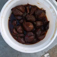 سیرترشی خانگی ۷ ساله