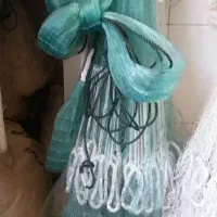 تور ماهیگیری