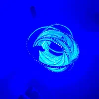 ریسه شلنگی LED|ریسه و چراغ تزئینی|قروه, |دیوار