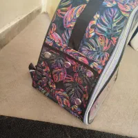 کوله حمل گربه و سگ و پرنده