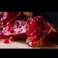 نهال تضمینی انار و انجیر ریشه دار