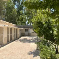 پانسیون سگ آوچارکا