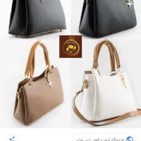 کیف زنانه بامقداری پول پیدا شده